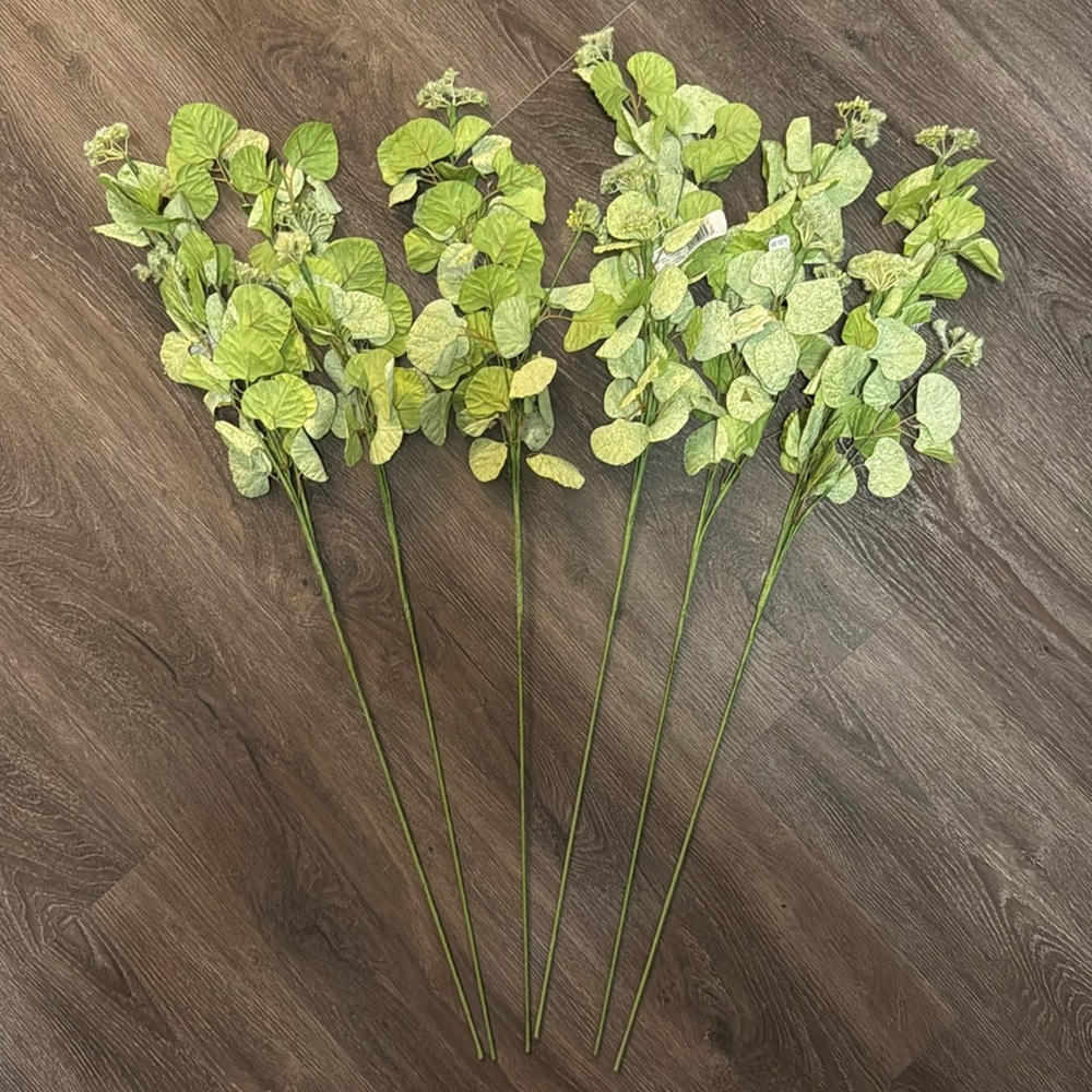 Eucalyptus Flower Stems